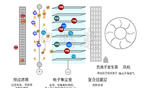 ���ʽ�՚������